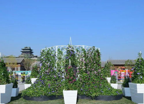 2020第七届北京花木春季花展part ⅱ 搭建花卉新品种展示的舞台